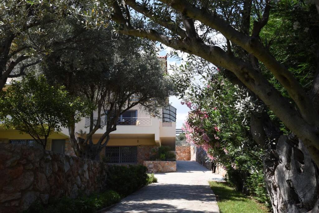 Seaside Villa Andronikos Amarynthos Exterior foto